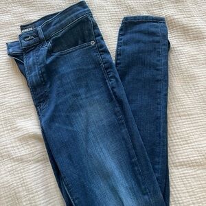 Express Indigo Denim Pants